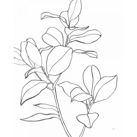 Magnolia Branch I Black Modern Wood Framed Art Print by Panganiban, Karyn