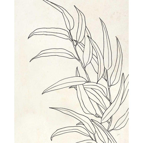 Eucalyptus II Gold Ornate Wood Framed Art Print with Double Matting by Panganiban, Karyn