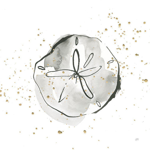 Sand Dollar I White Modern Wood Framed Art Print by Paschke, Chris