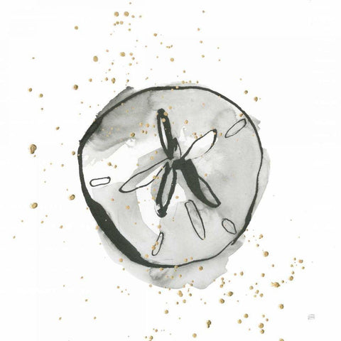 Sand Dollar II White Modern Wood Framed Art Print by Paschke, Chris
