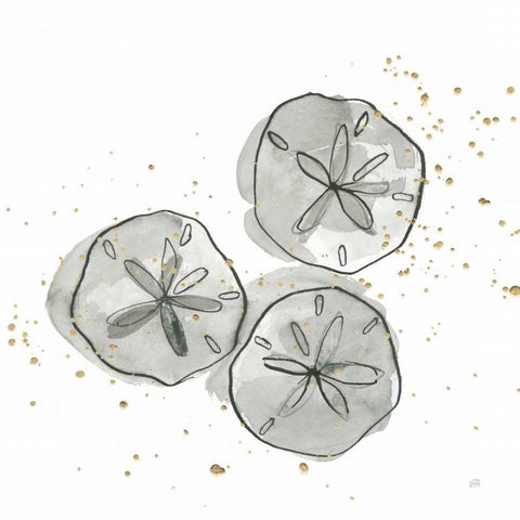 Sand Dollar III Gold Ornate Wood Framed Art Print with Double Matting by Paschke, Chris