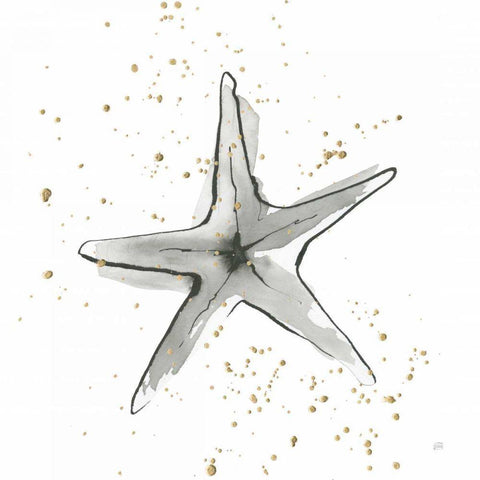 Starfish II Black Modern Wood Framed Art Print with Double Matting by Paschke, Chris