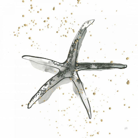 Starfish III White Modern Wood Framed Art Print by Paschke, Chris