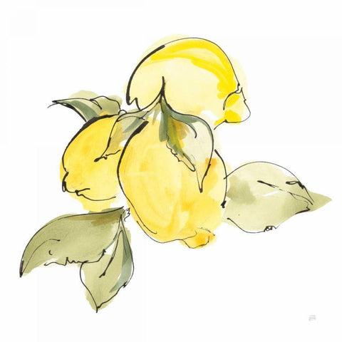 Lemons I Gold Ornate Wood Framed Art Print with Double Matting by Paschke, Chris