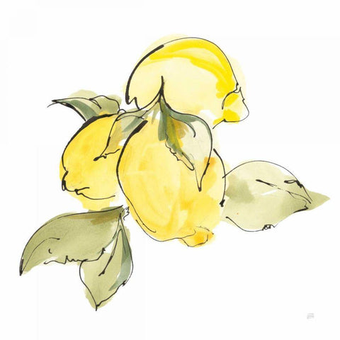 Lemons I Black Ornate Wood Framed Art Print with Double Matting by Paschke, Chris