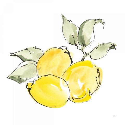 Lemons II Gold Ornate Wood Framed Art Print with Double Matting by Paschke, Chris