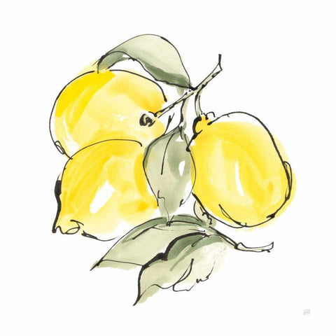 Lemons III Gold Ornate Wood Framed Art Print with Double Matting by Paschke, Chris