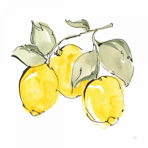 Lemons IV Gold Ornate Wood Framed Art Print with Double Matting by Paschke, Chris