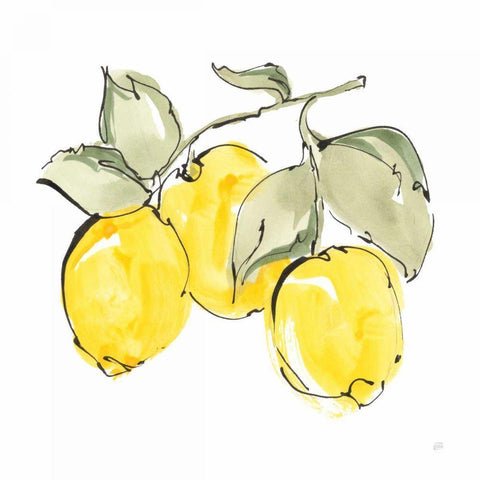 Lemons IV Black Ornate Wood Framed Art Print with Double Matting by Paschke, Chris