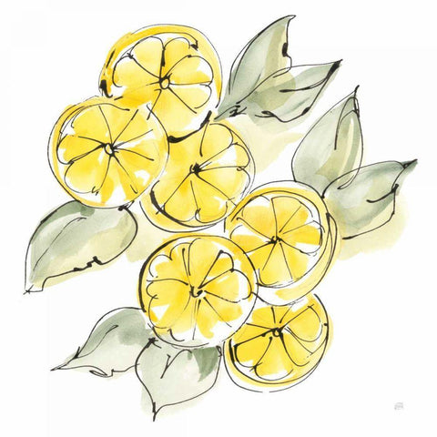 Cut Lemons II Gold Ornate Wood Framed Art Print with Double Matting by Paschke, Chris