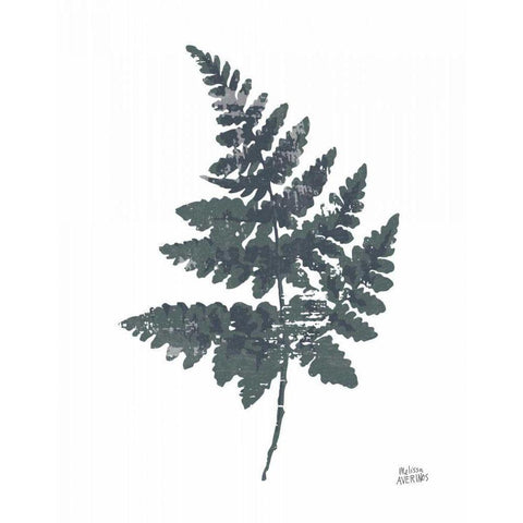 Fern II Gold Ornate Wood Framed Art Print with Double Matting by Averinos, Melissa