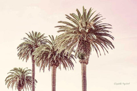 Pastel Palms White Modern Wood Framed Art Print with Double Matting by Urquhart, Elizabeth