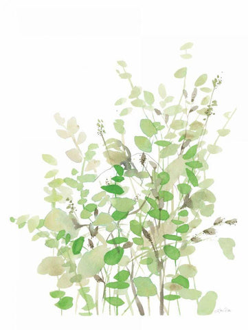 Spring Greens White Modern Wood Framed Art Print with Double Matting by Pete, Katrina