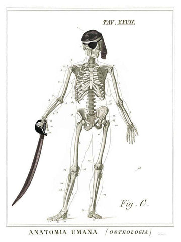 Dandy Bones Pirate White Modern Wood Framed Art Print with Double Matting by Schlabach, Sue