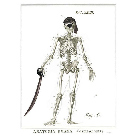 Dandy Bones Pirate Gold Ornate Wood Framed Art Print with Double Matting by Schlabach, Sue