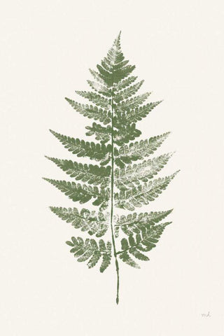 Fern Print I White Crop White Modern Wood Framed Art Print with Double Matting by Hershey, Moira
