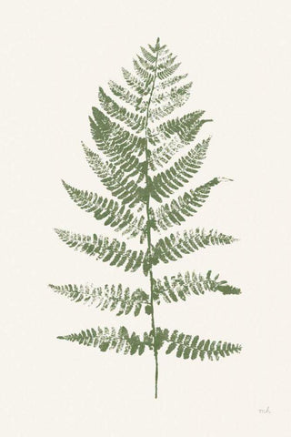 Fern Print II White Crop White Modern Wood Framed Art Print with Double Matting by Hershey, Moira