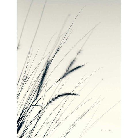 Field Grasses I Gold Ornate Wood Framed Art Print with Double Matting by Van Swearingen, Debra