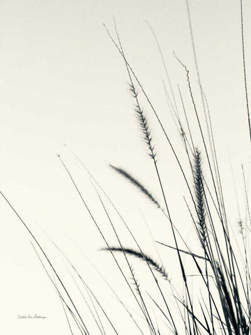Field Grasses II Black Ornate Wood Framed Art Print with Double Matting by Van Swearingen, Debra
