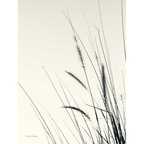Field Grasses II Gold Ornate Wood Framed Art Print with Double Matting by Van Swearingen, Debra