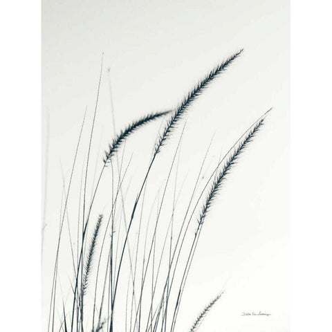 Field Grasses III Gold Ornate Wood Framed Art Print with Double Matting by Van Swearingen, Debra
