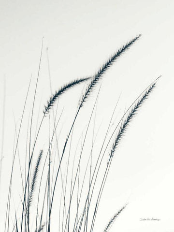 Field Grasses III Black Ornate Wood Framed Art Print with Double Matting by Van Swearingen, Debra