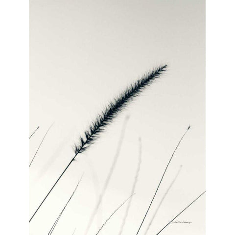 Field Grasses V Gold Ornate Wood Framed Art Print with Double Matting by Van Swearingen, Debra