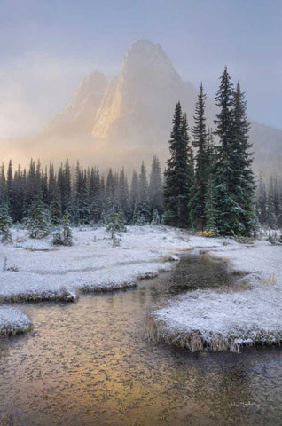 Bell Mountain North Cascades I Black Ornate Wood Framed Art Print with Double Matting by Majchrowicz, Alan