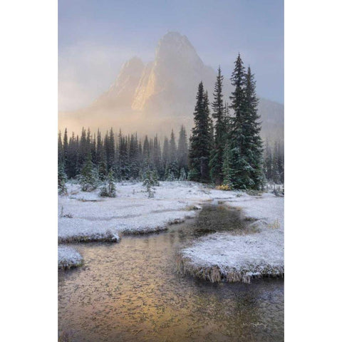 Bell Mountain North Cascades I Gold Ornate Wood Framed Art Print with Double Matting by Majchrowicz, Alan