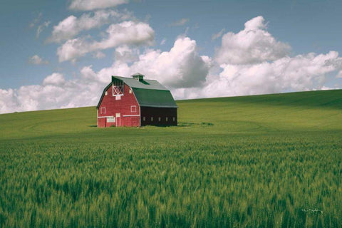 Palouse Region Red Barn I White Modern Wood Framed Art Print with Double Matting by Majchrowicz, Alan