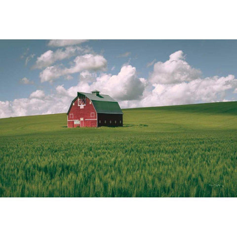 Palouse Region Red Barn I Gold Ornate Wood Framed Art Print with Double Matting by Majchrowicz, Alan