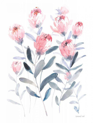 All the Protea White Modern Wood Framed Art Print with Double Matting by Nai, Danhui