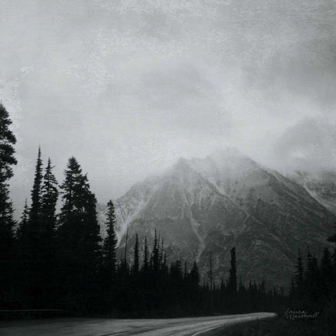 West Coast Wandering III No Words BW Gold Ornate Wood Framed Art Print with Double Matting by Marshall, Laura