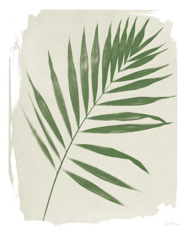 Nature By the Lake Frond II Cream White Modern Wood Framed Art Print with Double Matting by Rhue, Piper