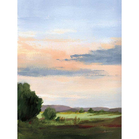 Skylight I White Modern Wood Framed Art Print by Munger, Pamela