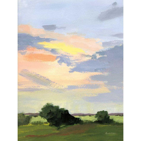 Skylight II Gold Ornate Wood Framed Art Print with Double Matting by Munger, Pamela