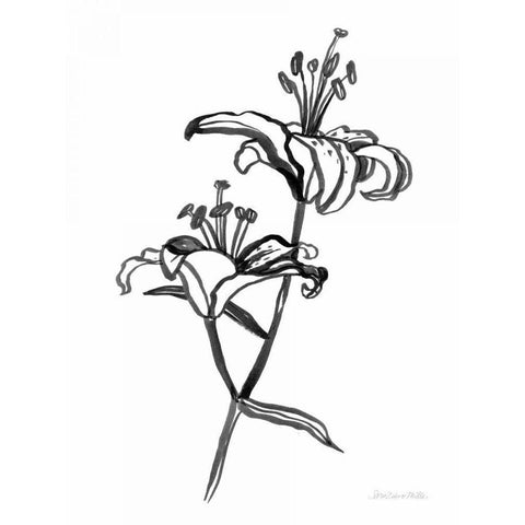 Ink Lilies I Gold Ornate Wood Framed Art Print with Double Matting by Miller, Sara Zieve