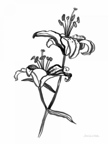 Ink Lilies I Black Ornate Wood Framed Art Print with Double Matting by Miller, Sara Zieve