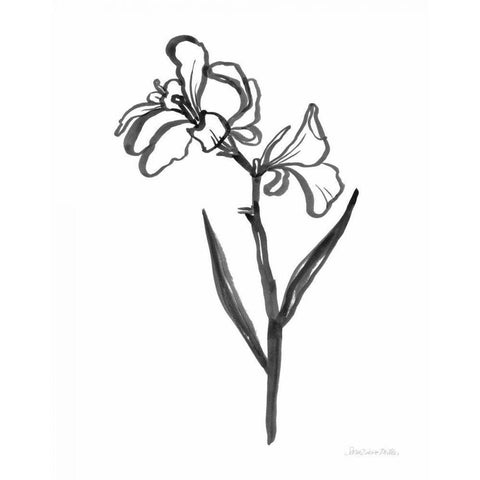 Ink Flower II Gold Ornate Wood Framed Art Print with Double Matting by Miller, Sara Zieve