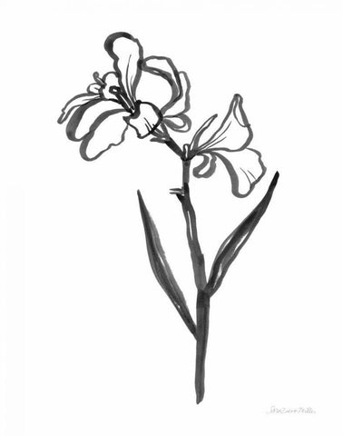 Ink Flower II White Modern Wood Framed Art Print with Double Matting by Miller, Sara Zieve