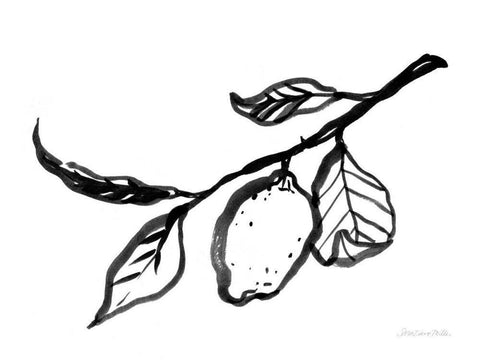 Ink Lemon White Modern Wood Framed Art Print with Double Matting by Miller, Sara Zieve