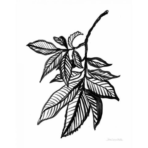 Ink Leaves Black Modern Wood Framed Art Print by Miller, Sara Zieve