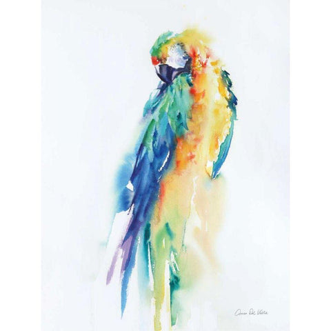 Colorful Parrots II Gold Ornate Wood Framed Art Print with Double Matting by Valle, Aimee Del