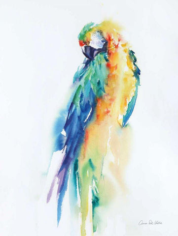 Colorful Parrots II White Modern Wood Framed Art Print with Double Matting by Valle, Aimee Del