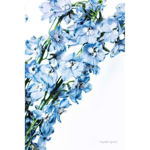 Freshly Picked Delphinium IV Gold Ornate Wood Framed Art Print with Double Matting by Urquhart, Elizabeth