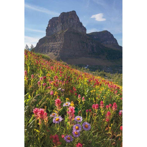 Boulder Pass Wildflowers Gold Ornate Wood Framed Art Print with Double Matting by Majchrowicz, Alan