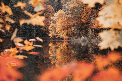 Autumn Reflections White Modern Wood Framed Art Print with Double Matting by Marshall, Laura