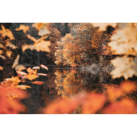 Autumn Reflections Gold Ornate Wood Framed Art Print with Double Matting by Marshall, Laura