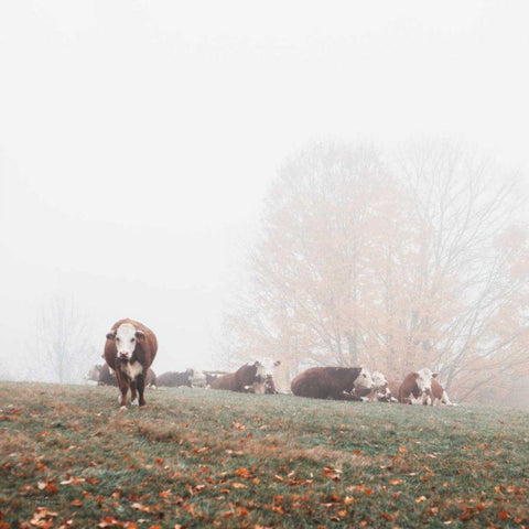 Misty Pasture Gold Ornate Wood Framed Art Print with Double Matting by Marshall, Laura