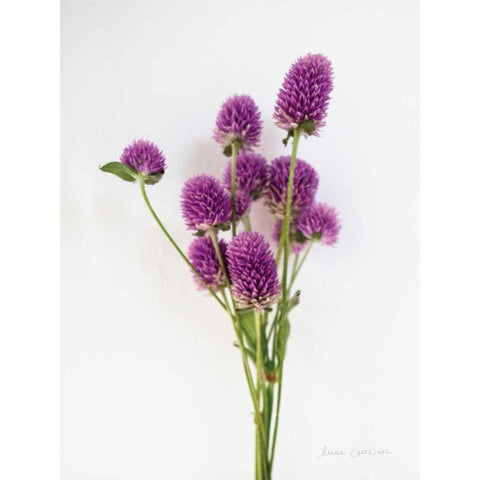 Dried Bouquet II Gold Ornate Wood Framed Art Print with Double Matting by Catterall, Elise